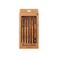 kit-pinceis-bamboo-brush-bes-01-klass-vough